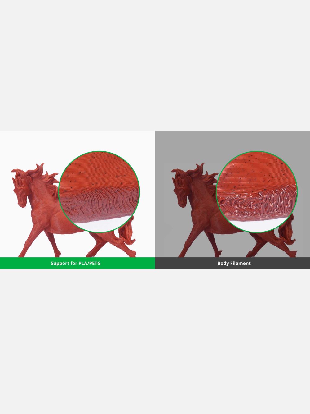 Bambu Lab PLA /PETG