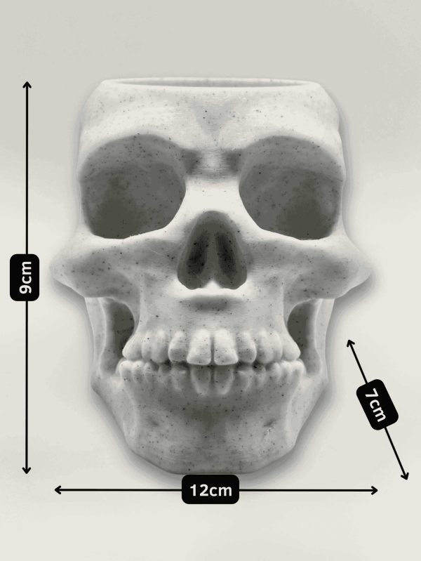 Meet Skully- Skull-Shaped Holder/Desk Organizer - Image 3