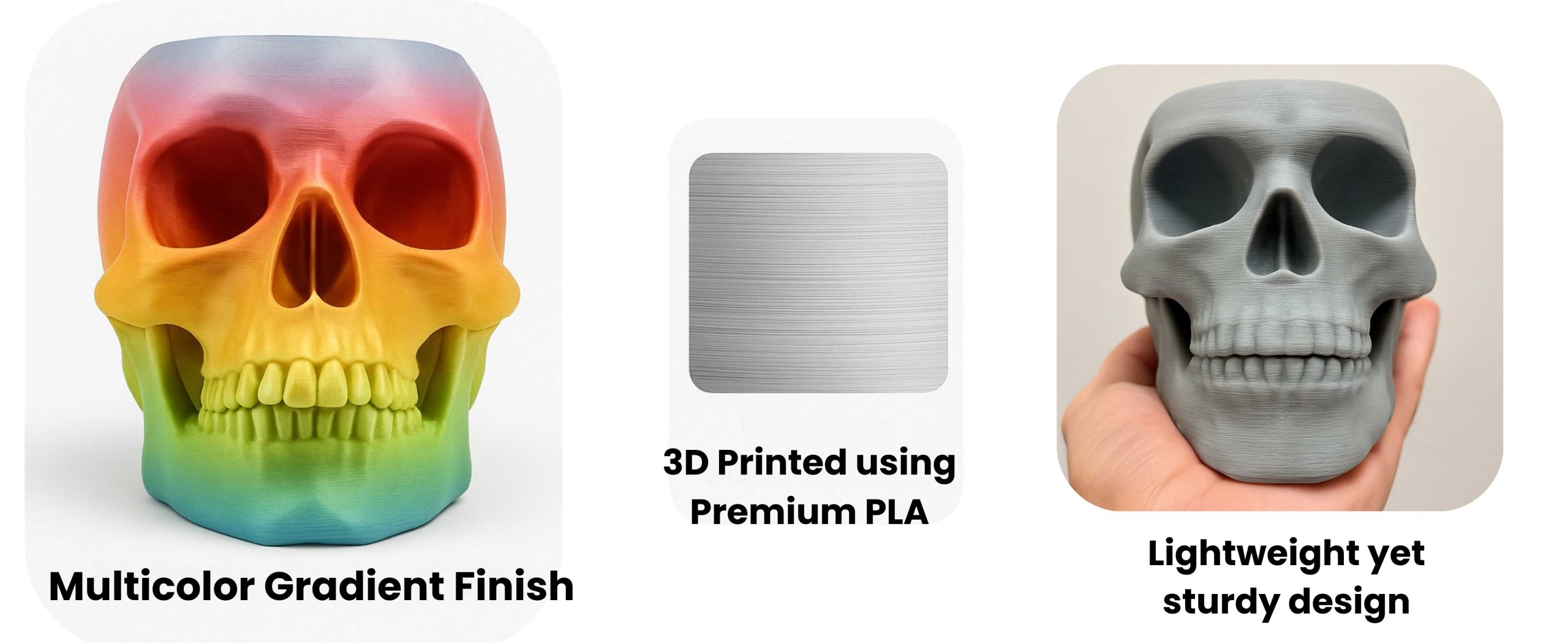 3D Printed Skull