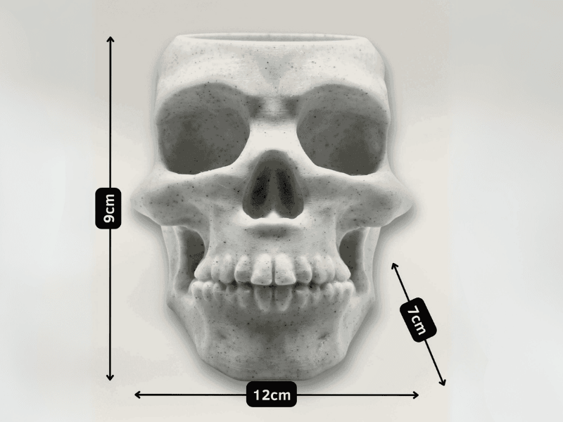 3D Printed Skull 5